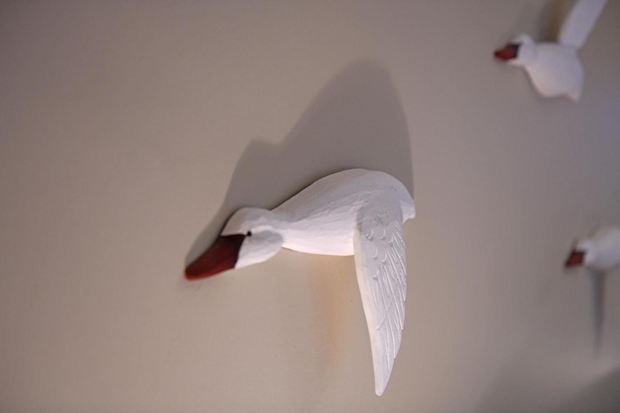 埃夫迪洛斯Seagulls' House公寓 外观 照片